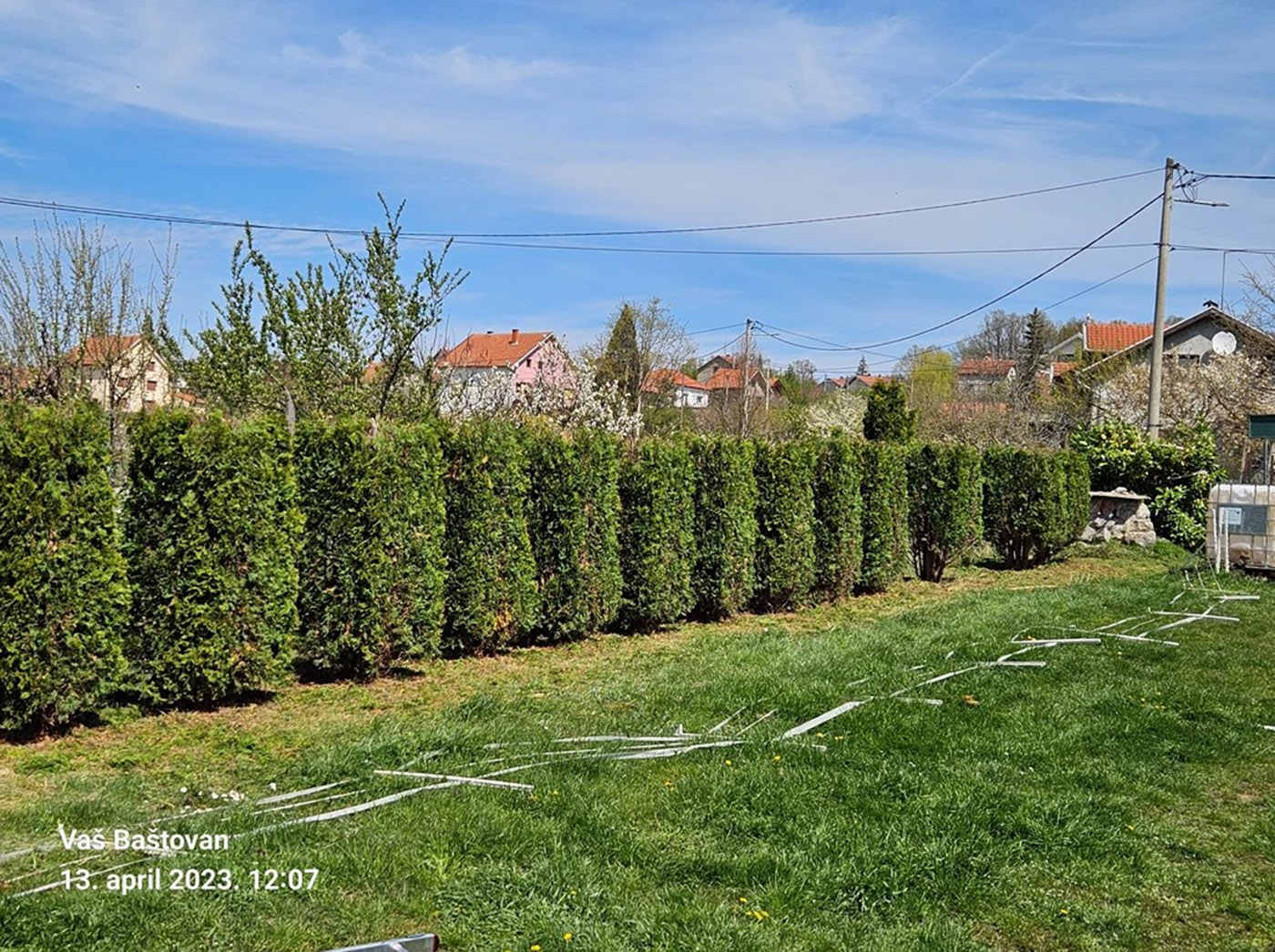 usluzno orezivanje zive ograde beograd
